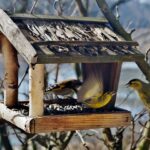 Vogelfutterhӓuser